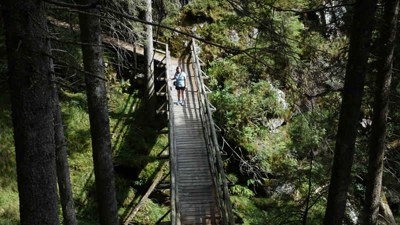 2017-08-28_125554 trentino-suedtirol-2017.jpg - Wanderweg Malga Sorgazza an der Grigno nach Val Malene